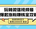 玩转微信视频号爆款涨粉赚钱全攻略,快速涨粉百万变现万元秘诀-学习资源库