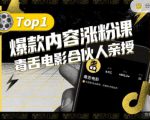 【毒舌电影合伙人亲授】抖音爆款内容涨粉课,5000万抖音大号首次披露涨粉机密-学习资源库
