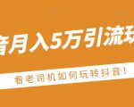 老古董·抖音月入5万引流玩法,看看老司机如何玩转抖音(附赠:抖音另类引流思路)-学习资源库