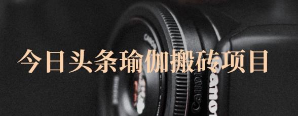 猎人社区·今日头条瑜伽搬砖项目，单号一天几十收入，可以批量操作！-学习资源库