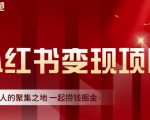 渣圈学苑·小红书虚拟资源变现项目,一起捞钱掘金价值1099元-学习资源库