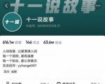 十一说故事·故事性中视频,观众快速共鸣从而快速变现的中视频玩法-学习资源库