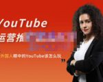 外国人眼中的YouTube该怎么玩?Elisa·YouTube运营推广实战技巧-学习资源库