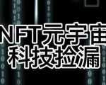 【元本空间sky七级空间唯一ibox幻藏等】NTF捡漏合集【抢购脚本+教程】-学习资源库