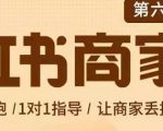 贾真-小红书商家营第6期商家版，21天带货陪跑课，让商家丢掉付流量-学习资源库