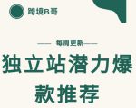 【跨境B哥】独立站潜力爆款选品推荐,测款出单率高达百分之80-学习资源库