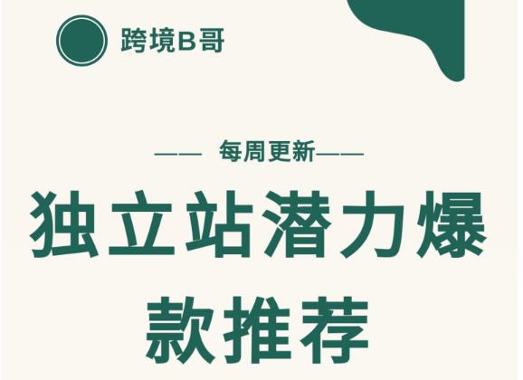 【跨境B哥】独立站潜力爆款选品推荐，测款出单率高达百分之80-学习资源库