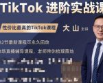 大山老师TikTok进阶实战课:账号详解,流量运营,实战变现,助力你成功出海-学习资源库