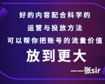 张sir账号流量增长课,告别海王流量,让你的流量更精准-学习资源库