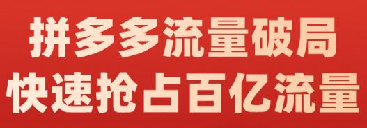阿杰·拼多多流量破局:如何打黑标，爆款的思路，拼多多流量框架，快速抢占百亿流量-学习资源库
