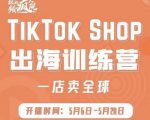 疯人院:TikTok Shop出海训练营(一店卖全球),出海抢占全球新流量-学习资源库