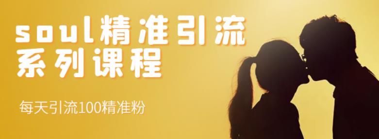 soul精准引流系列课程，每天引流100精准粉-学习资源库