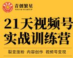 张萌21天视频号实战训练营,裂变涨粉、内容创作、视频号变现 价值298元-学习资源库