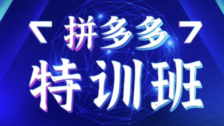 星雪教育·拼多多基础班+进阶班+突破班，用系统的学习模式快速改变现状价值3580元-学习资源库