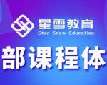 星雪教育淘系高级班,更全的运营提升方案,零基础由浅入深,店铺最新玩法-学习资源库