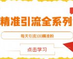 闲鱼精准引流全系列课程,每天引流100精准粉【视频课程】-学习资源库