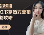 苏歆:小红书穿透式营销收割攻略,引爆流量,助你玩转小红书-学习资源库