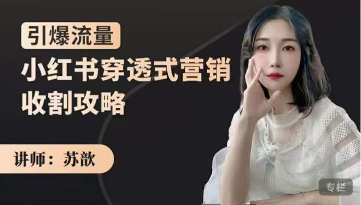 苏歆：小红书穿透式营销收割攻略，引爆流量，助你玩转小红书-学习资源库