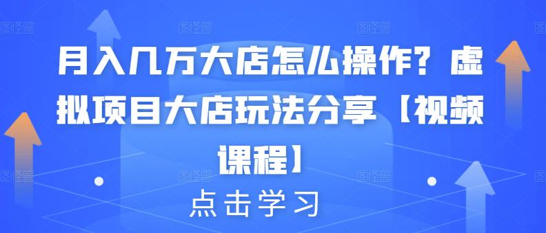 月入几万大店怎么操作？虚拟项目大店玩法分享【视频课程】-学习资源库