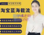2022淘宝蓝海截流攻略,淘宝蓝海截流选品上货实操讲解-学习资源库