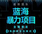 引流哥蓝海暴力躺赚项目：无需发圈无需引流无需售后，每单赚50-500（教程+线报群)-学习资源库