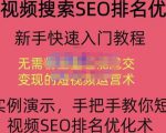 宋老师·短视频搜索SEO优化,教你10分钟创作一个短视频,三天排名上第一-学习资源库