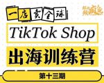 TikTokShop出海训练营（第十三期），打开全球流量新思维，出海抢占全球新流量，一店卖全球-学习资源库