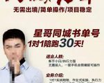 星哥同城教育书单号课程,无需出境简单操作项目稳定-学习资源库