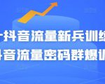 Peter抖音流量新兵训练营-破解抖音流量密码群爆训练营(新兵)-学习资源库