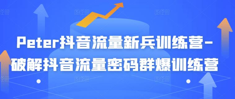 Peter抖音流量新兵训练营-破解抖音流量密码群爆训练营（新兵）-学习资源库