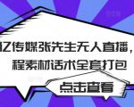 聚亿传媒张先生无人直播,教程素材话术全套打包-学习资源库