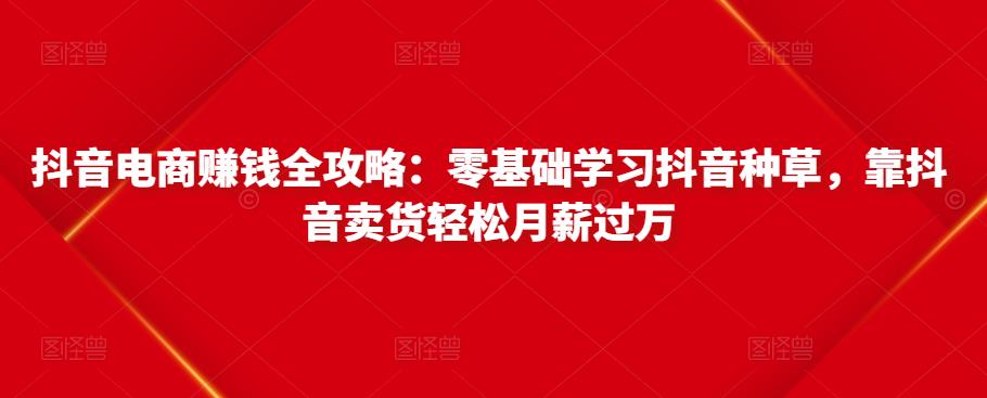 抖音电商赚钱全攻略：零基础学习抖音种草，靠抖音卖货轻松月薪过万-学习资源库