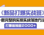 凌童《新品打爆实战班》,一套完整的实操实战落地方法,打爆链接超2000+(28节课)-学习资源库