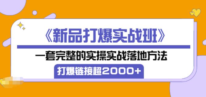 凌童《新品打爆实战班》,一套完整的实操实战落地方法，打爆链接超2000+（28节课)-学习资源库