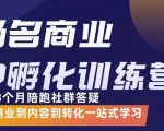 杨名商业IP孵化训练营,从商业到内容到转化一站式学 价值5980元-学习资源库