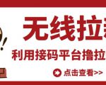 最新接码无限拉新项目,利用接码平台赚拉新平台差价,轻松日赚500+-学习资源库