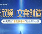 李欣频|文案创造课,0基础可报10天写出“看到就想转”的自媒体文案-学习资源库