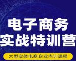 民赛电气内部出品:电子商务实战特训营,全方位带你入门电商,308种方式玩转电商-学习资源库