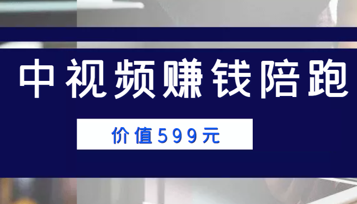 中视频赚钱陪跑，卖中视频账户赚钱收益陪跑项目（价值599元）-学习资源库
