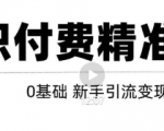 玩转知识付费项目精准引流，给你1套课多账号操作落地方案！-学习资源库
