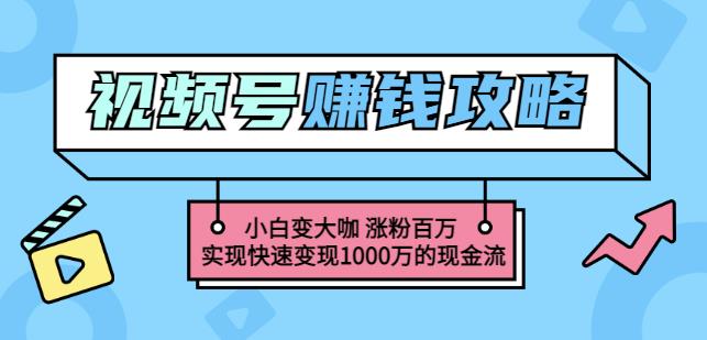 玩转微信视频号赚钱：小白变大咖涨粉百万实现快速变现1000万的现金流-学习资源库