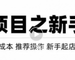 虚拟项目快速起店模式，0成本打造月入几万虚拟店铺！-学习资源库