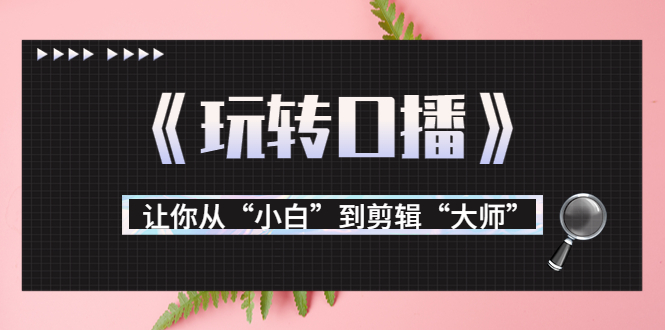 月营业额700万+大佬教您《玩转口播》让你从“小白”到剪辑“大师”-学习资源库