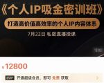 个人IP吸金密训班，打造高价值高效率的个人IP内容体系（价值12800元）-学习资源库