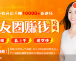 全网千万人气导师亲授：零基础/易上手的朋友圈赚钱攻略，让你轻松月入过万-学习资源库