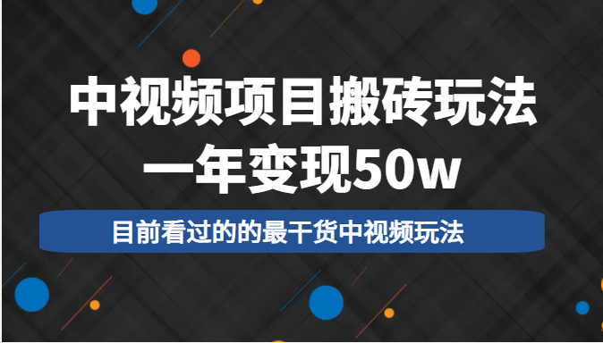 中视频项目搬砖玩法，一年变现50w，目前看过的的最干货中视频玩法-学习资源库