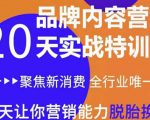 《内容营销实操特训营》20天让你营销能力脱胎换骨（价值3999）-学习资源库