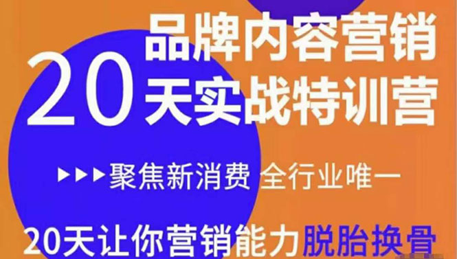 《内容营销实操特训营》20天让你营销能力脱胎换骨（价值3999）-学习资源库