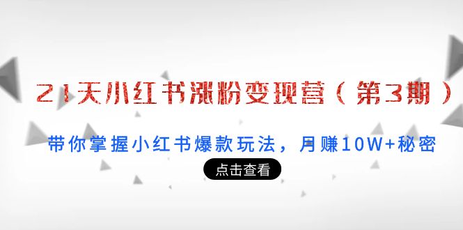 21天小红书涨粉变现营（第3期）：带你掌握小红书爆款玩法，月赚10W+秘密-学习资源库