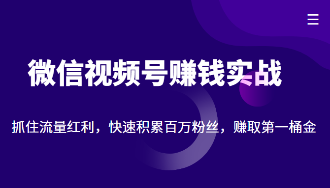 微信视频号赚钱实战：抓住流量红利，快速积累百万粉丝，赚取你的第一桶金-学习资源库